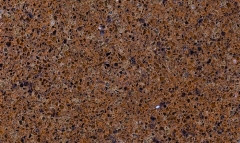ALD-Granite-QZ058
