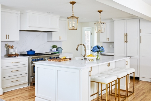 Transitional white painted shaker kitchen with gold accents- Allandcabinet