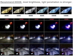 Recommand 6000K for your car headlight