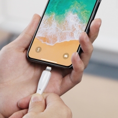 USB-C to Lightning Cable