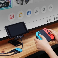 Switch Dock