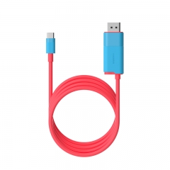 USB C to DisplayPort Cable