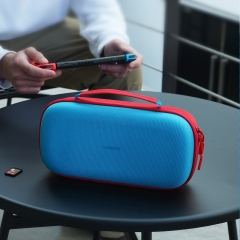 Switch Carrying Case