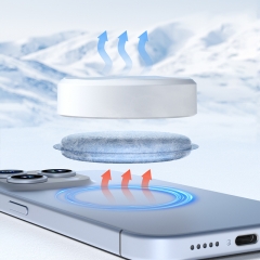 Magnetic Ice Storage Phone Cooler