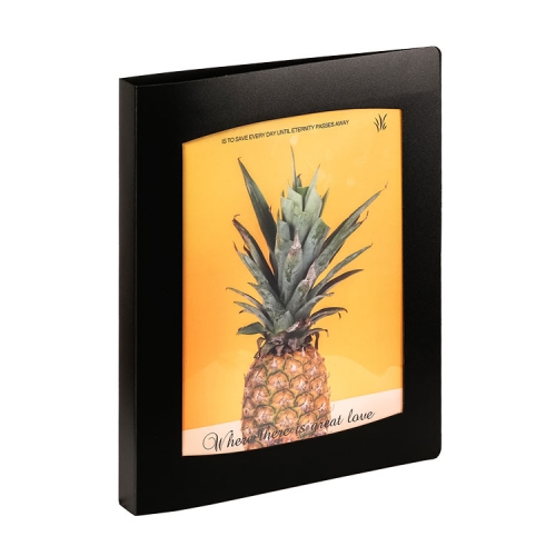Poly View Binder with Frame, Letter Size