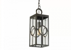 1-Light Outdoor Hanging Lantern