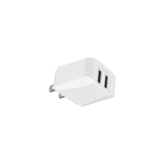 10.5W wall Charger