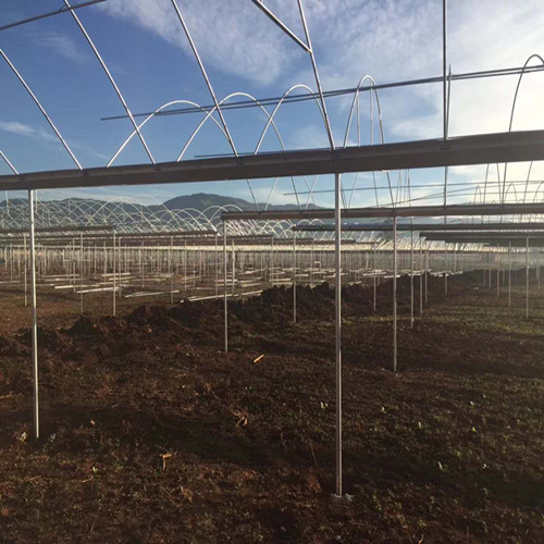 Greenhouse Frame for Agriculture