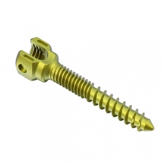 Spinal RS6 Monoaxial Pedicle Screw- Double Thread type