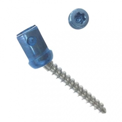 Spinal RS8-5.5 rod Polyaxial Pedicle Screw