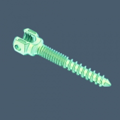 Spinal RS6 Monoaxial Pedicle Screw- Double Thread type