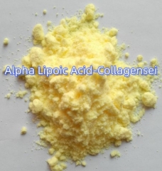 Alpha Lipoic Acid