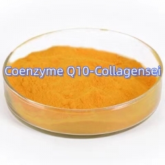 Coenzyme Q10