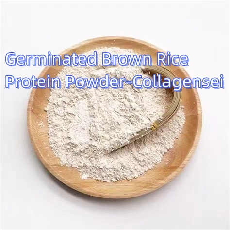 Polvo de proteína de arroz integral germinado
