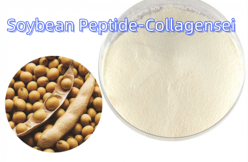 Soybean Peptide