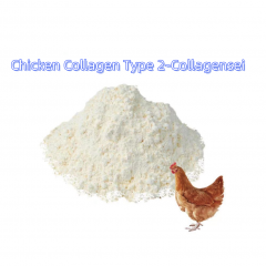 Colágeno de pollo tipo 2