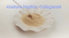 Abalone Peptide
