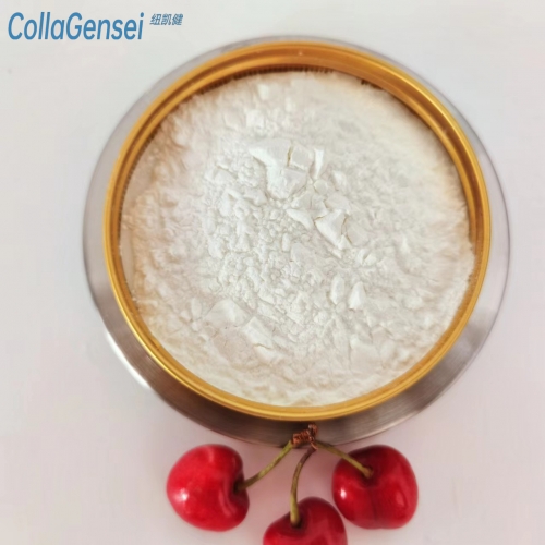 CollaGensei Premium Glucosamine - Optimal Joint Health Support