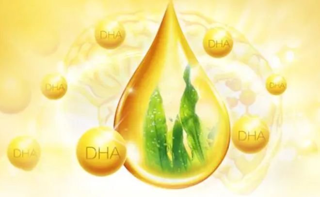 DHA Algae Oil VS. Borage Oil
