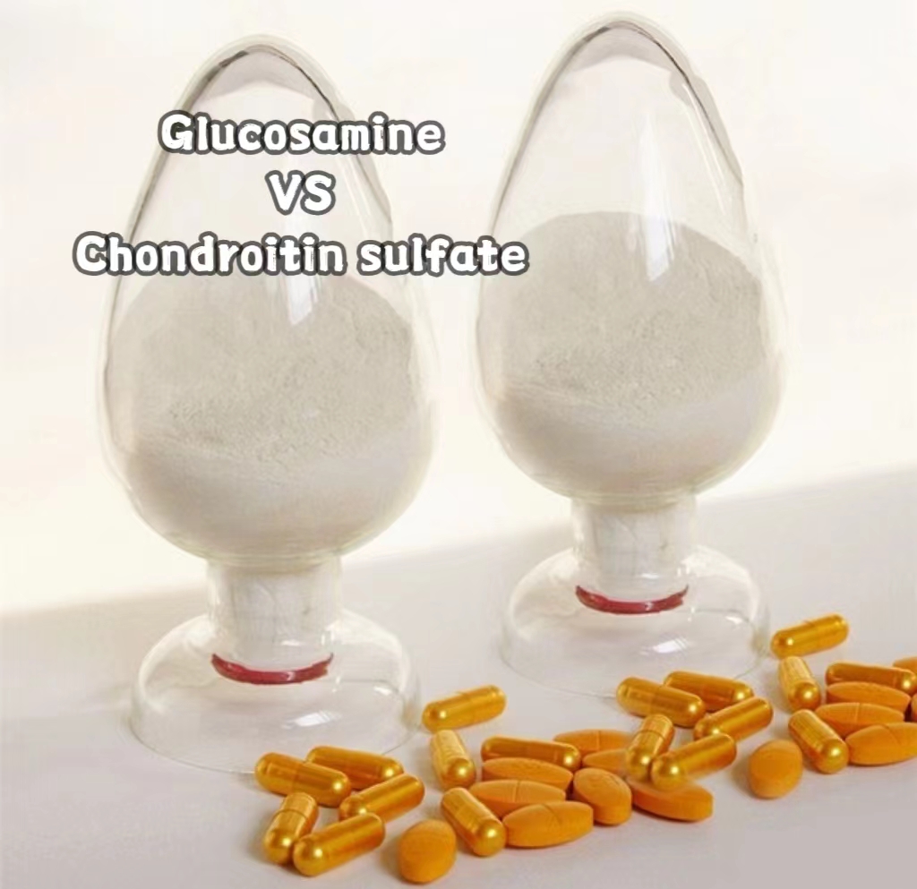Glucosamine VS Chondroitin sulfate