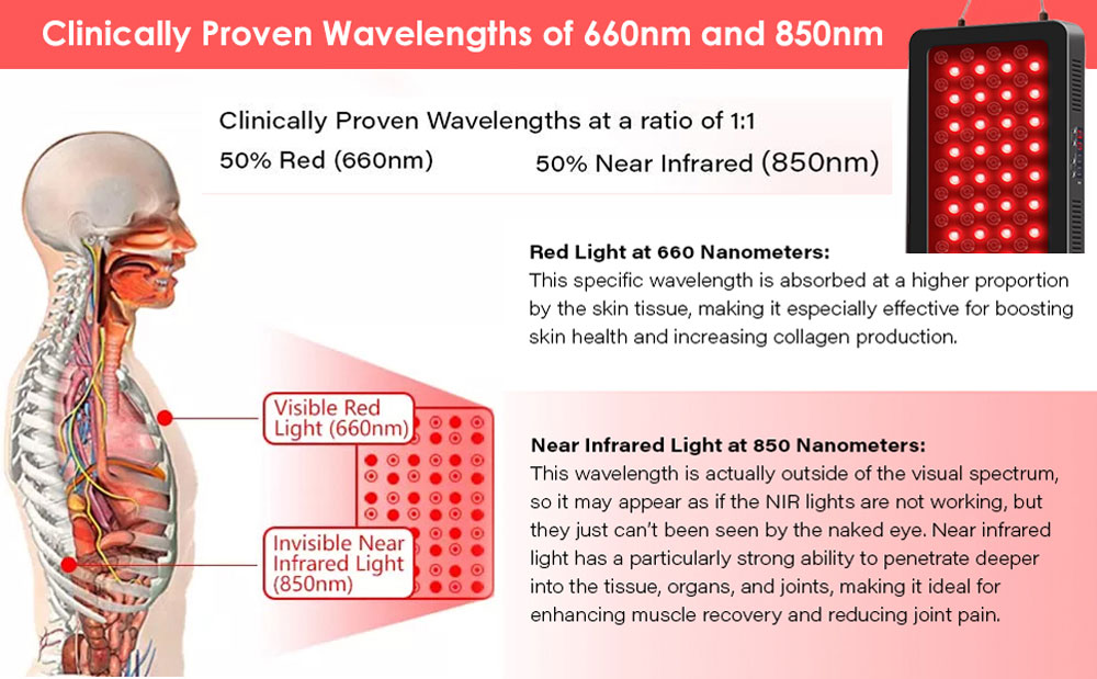 LOW MOQ Wholesale Red Light Therapy Panel 850 Infra Led Panel