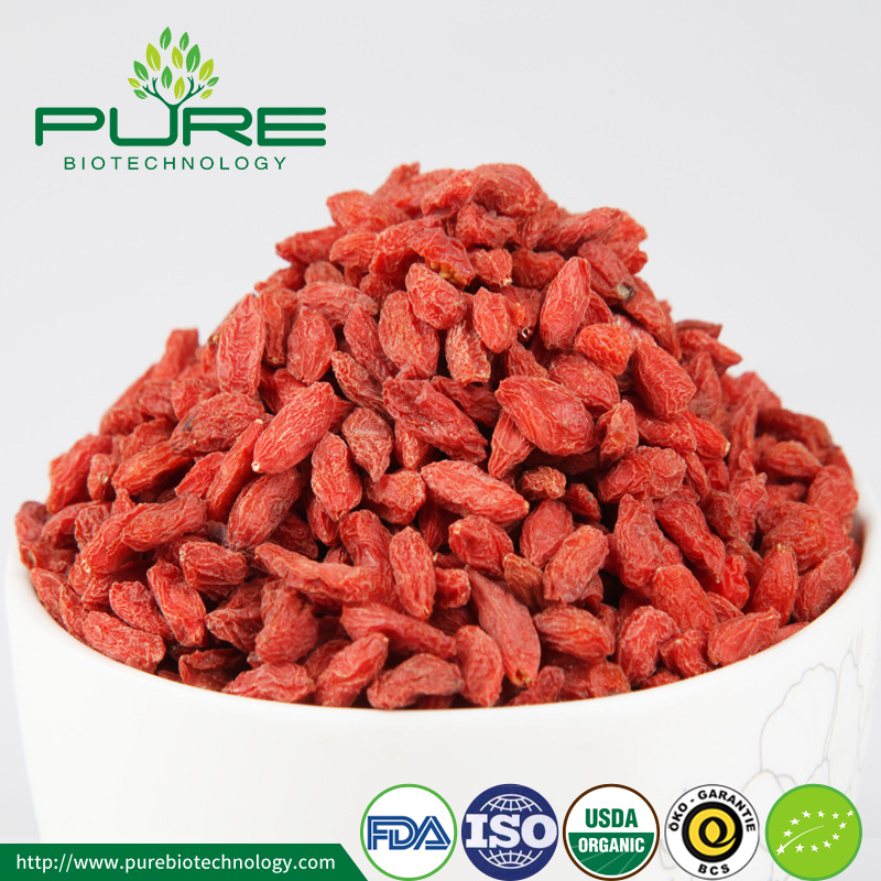 Ningxia Pure Goji Biology Technology Co.,Ltd Is Superior Manufacturer of EU Organic Goji Berries