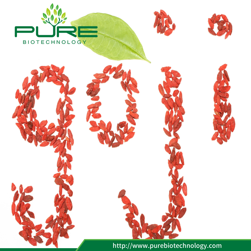 The Benefits of Goji Berries