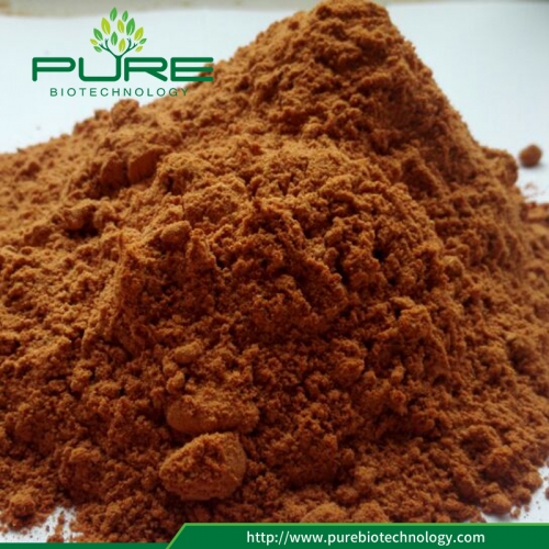 97% Polissacarídeos Goji Berry Extract