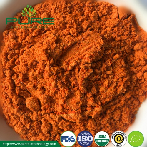 Poudre de baie de Goji lyophilisée