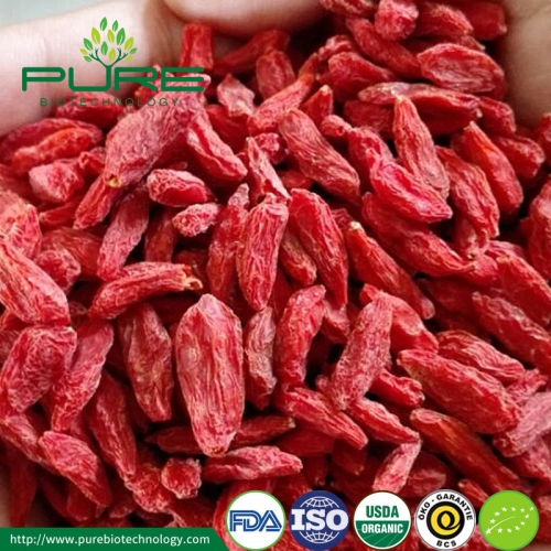 Bagas de goji orgânico NOP