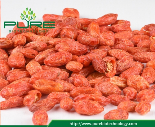 Freeze Dried Red Goji Berry/Wolfberry