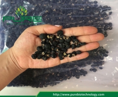 Замораживание сушеных черных ягод годжи / Wolfberry