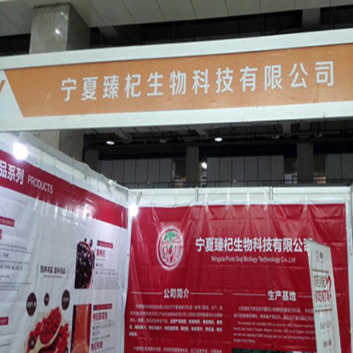 Salon de l&#39;innovation Ningxia Goji 2016