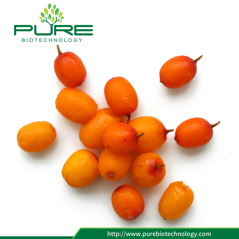 Sea Buckthorn Benefits