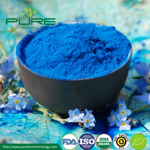 Extrato de Spirulina Azul em Pó