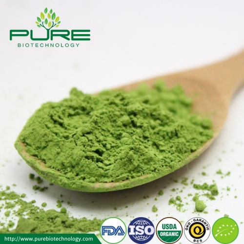 Organic Matcha Powder/Ceremonial Grade