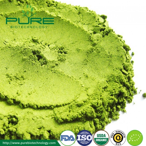 Poudre de thé matcha de qualité cérémonielle