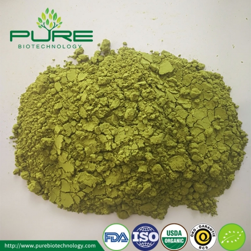 Poudre de thé Matcha de qualité alimentaire