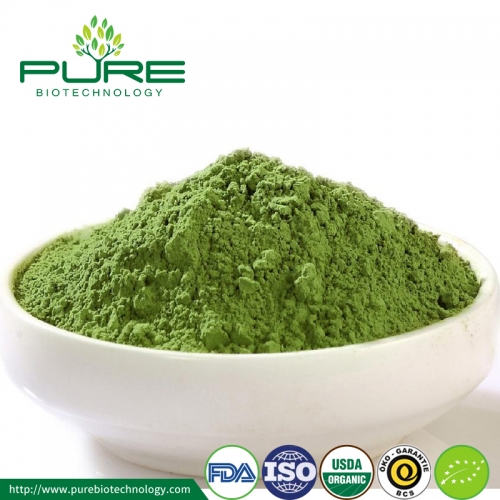 Organic Matcha Powder/Beverage Grade