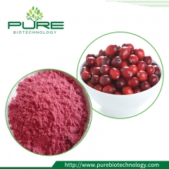 Cranberry Fruit Extract / 1% -40% Proanthocyanidine