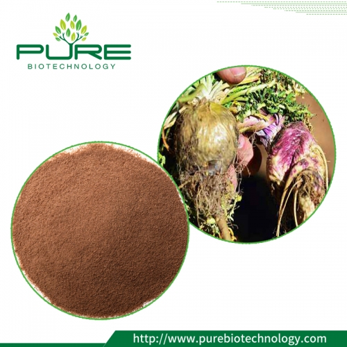 Black Maca Extract Powder