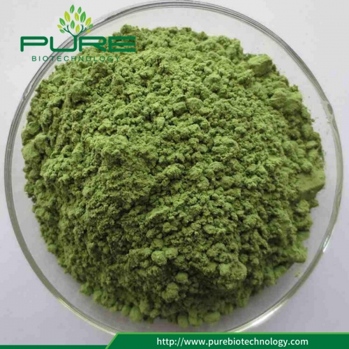 Barley Grass Powder