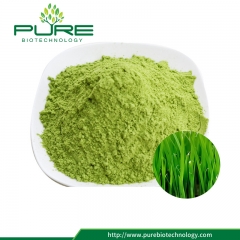 Pó de wheatgrass