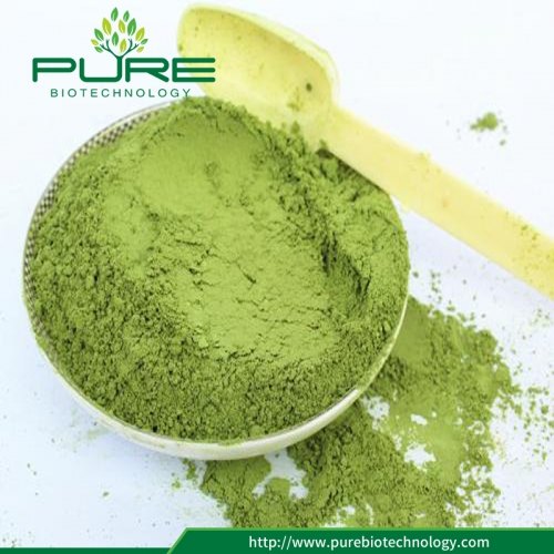 Wheatgrass Powder