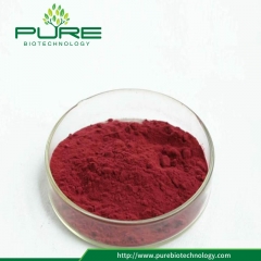 10: 1 Cranberry-Extrakt-Pulver ohne Bestrahlung