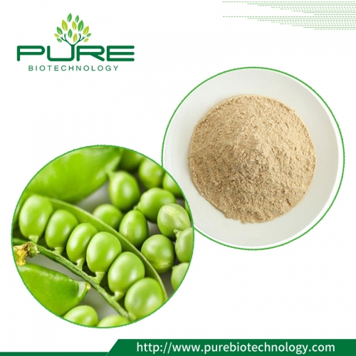 Certified Organic Pea Protein