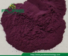 Acai Extract Powder