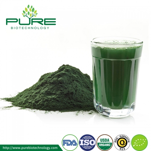 Spiruline en poudre avec 60% à 65% de protéines