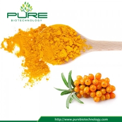 Freeze Dried Sea Buckthorn Powder with No Additives