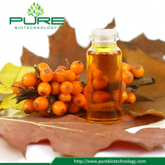 About the Sea Buckthorn oil